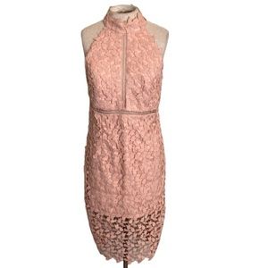 Bardot Latte Pink Delicate Lace Halter Dress NWT